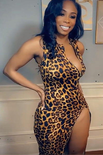 Leopard Zipper Dress