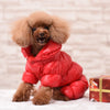 Warm & Shinny Jacket for Dogs