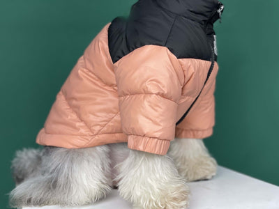 Fashionable Winter Jacket For Dogs