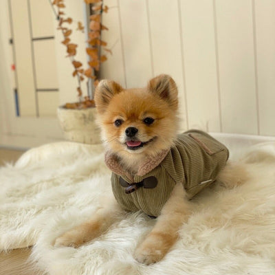 Cotton Dog Coat